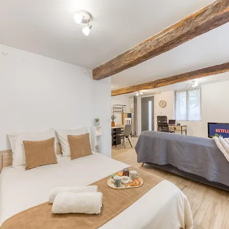Le Loft De Saint-gaudens - Confort Et Lejlighed *